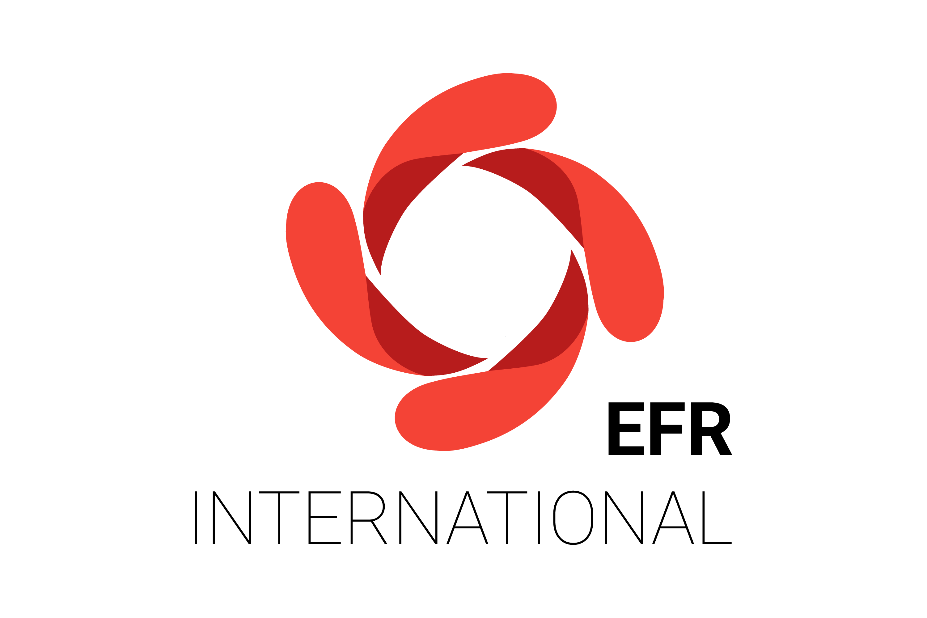 EFR International